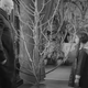 An Addams Family Christmas tree. I think it’s nice.